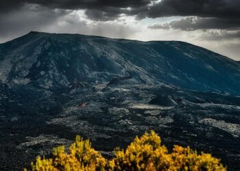 Le Palais de la Découverte menacé : quel avenir pour la culture scientifique en France ?
