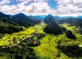 Bac 2025 : Découvrez les résultats tant attendus de l’académie de Montpellier !