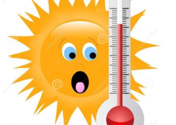 Canicule : la moitié des écoles fermées dans la troisième plus grande ville de France