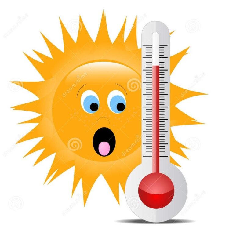 Canicule : la moitié des écoles fermées dans la troisième plus grande ville de France