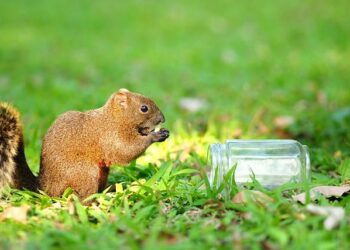 Comment la start-up Daan Tech révolutionne l’électroménager Made in France