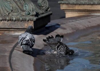 Unveiling the Untold Story of Concorde: A Spectacular Science Journey
