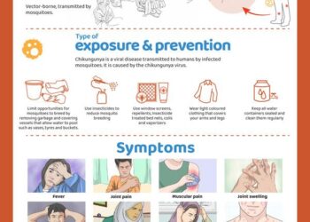 Un premier cas de chikungunya détecté près de Strasbourg : une contamination en Alsace inquiète  →  Chikungunya frappe pour la première fois près de Strasbourg : l’Alsace en alerte face à cette nouvelle menace