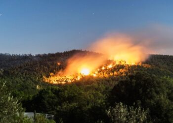 Marseille Blaze Contained: Accident Confirmed as Cause of Major Forest Fire in Europe