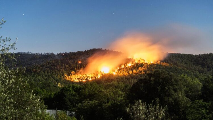 Marseille Blaze Contained: Accident Confirmed as Cause of Major Forest Fire in Europe
