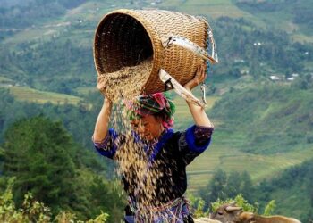 Journée d’ouverture passionnante à la Conférence mondiale sur l’Océan à Nice
