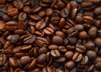 Estrosi et Delphine Ernotte à Nice : fin de la garde à vue et un délai de deux mois révélés