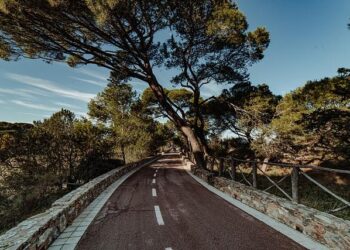 Les données de santé en France : un trésor de potentiel encore largement inexploité