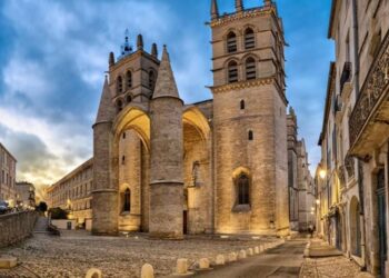 Montpellier Prêt à Vibrer pour les Championnats de France de Natation !