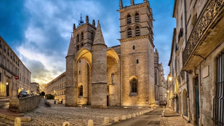 Montpellier Prêt à Vibrer pour les Championnats de France de Natation !