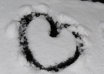 Plongez au cœur du Tour de France à Lille : parade spectaculaire et expérience immersive à 360° vous attendent !