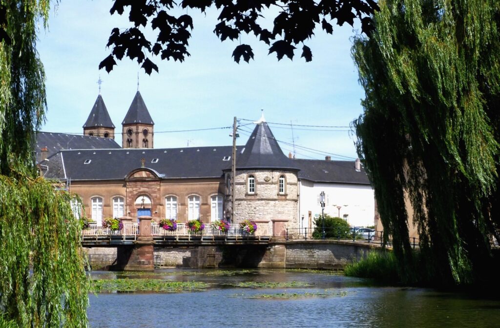 Revivez l’étape légendaire 1985 : Sarrebourg à Strasbourg du Tour de France en replay !