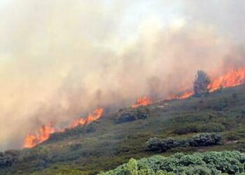 Incendies en France : feux maîtrisés à Marseille, dans le Gard et près de Narbonne
