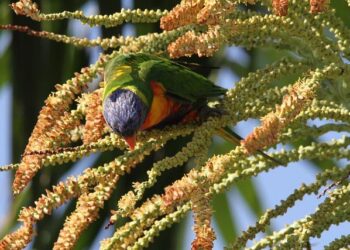 Loris Repellin (Havas Health) : « Jacques Paris, lancé il y a trois mois, séduit déjà ses premiers clients »  → 
Jacques Paris : le nouveau projet qui conquiert ses premiers clients en seulement trois mois
