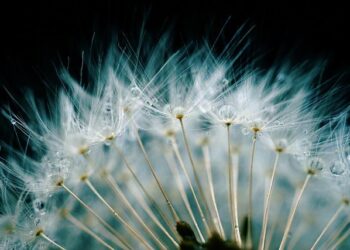 Théo Harrault : ses premières victoires éclatantes sur terre battue à Roland-Garros