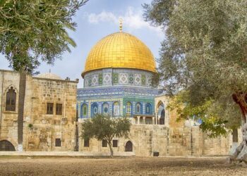 «Israël exclu du Tour» : un manifestant perturbe l’arrivée du Tour de France à Toulouse