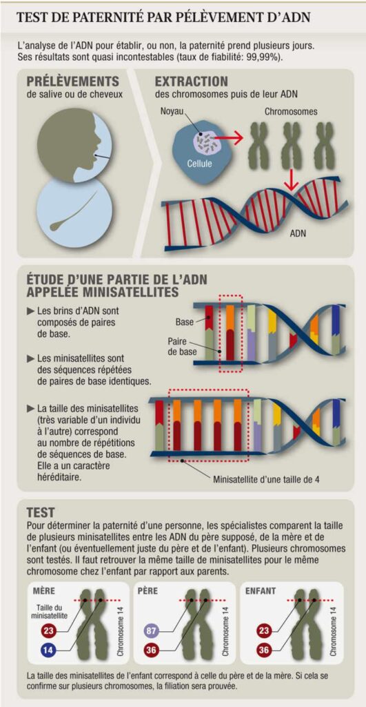Pourquoi la France refuse-t-elle toujours les tests de paternité alors qu’ils sont légaux ailleurs ?