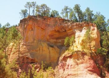 Les pur-sang envahissent le cœur de Paris grâce à France Galop