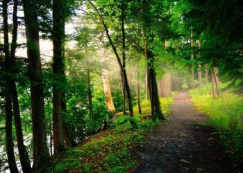 Georges Abdallah, l’un des plus anciens prisonniers de France, bientôt libéré après son arrestation à Lyon