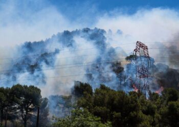 Massive Blaze Devours 700 Hectares in Marseille as Firefighters Struggle to Contain It