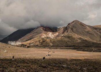 Strasbourg Boosts Midfield Strength with Exciting New Signing
