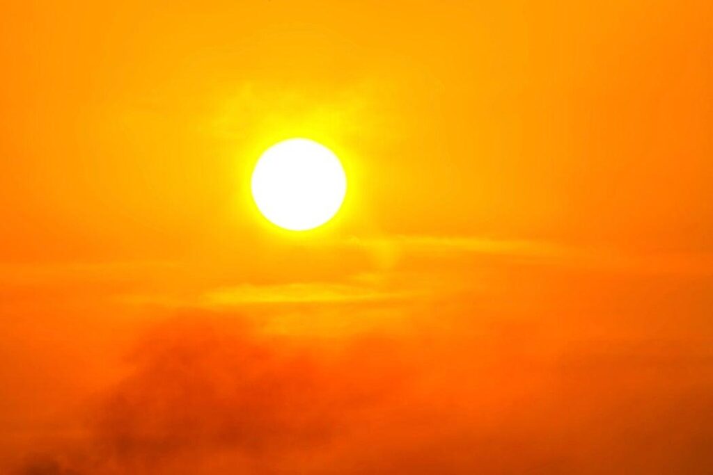 Uncovering the True Toll of Heat Waves in France: How They Threaten Health and Economy