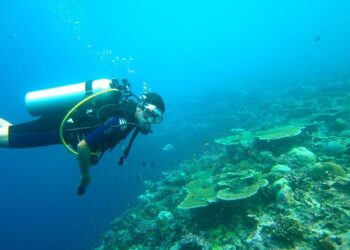 How Pytheas Technology Is Revolutionizing Underwater Acoustics and Doubling Revenue Every Six Months