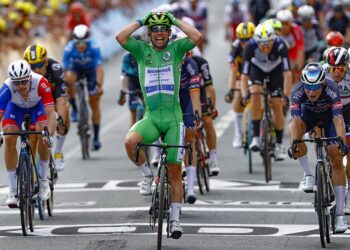 Julian Alaphilippe enflamme les passions en arrachant la pancarte d’une spectatrice au Tour de France