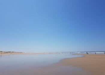 Explore Île-de-France Like Never Before: Exclusive Interviews with Its Mayors