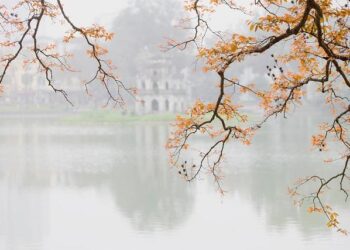 Pourquoi certaines équipes de direction peinent-elles à attirer les meilleurs talents ?