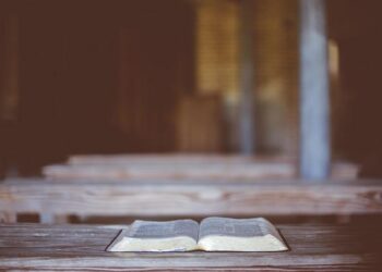 Découvrez Focus Entertainment, le géant méconnu de l’industrie française du jeu vidéo Découvrez Focus Entertainment, le géant méconnu de l’industrie française du jeu vidéo