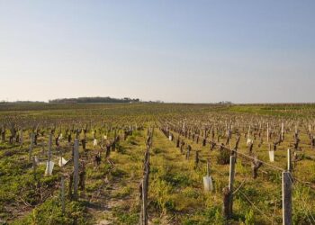 Orages en Gironde : Préparez-vous à un Ciel Agité et Spectaculaire !