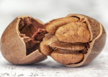 Who Really Owns AI-Generated Content? Unpacking the Copyright Dilemma