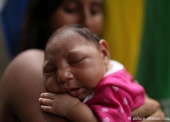 Zika détecté : lancement d’une vaste opération de démoustication à Strasbourg et Truchtersheim