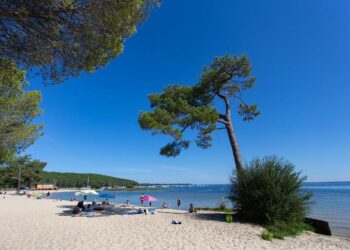 Découvrez les meilleurs spots pour se baigner autour de Bordeaux cet été !