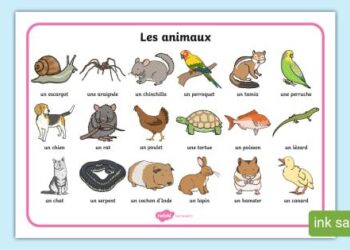 Animaux médecins malgré eux : plongez dans l’étonnant épisode du podcast Cultures animales