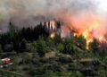 Devastating Aude Fire Engulfs 10,000 Hectares, Injures One and Shuts Down Key France-Spain Route
