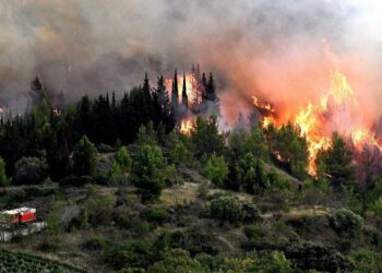 Devastating Aude Fire Engulfs 10,000 Hectares, Injures One and Shuts Down Key France-Spain Route