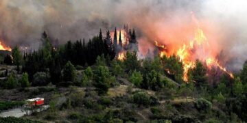 Devastating Aude Fire Engulfs 10,000 Hectares, Injures One and Shuts Down Key France-Spain Route