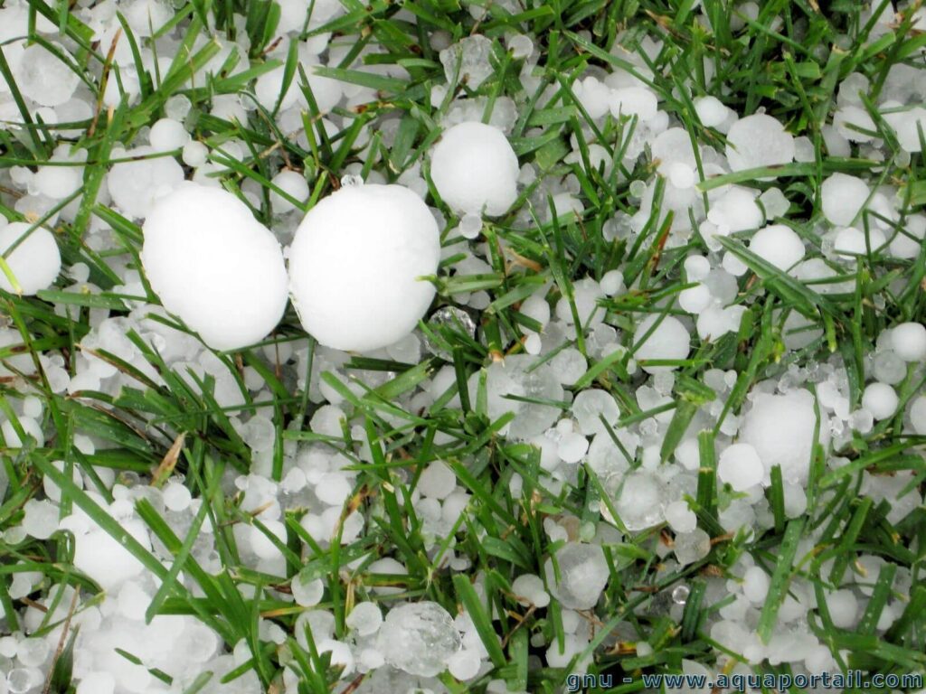 Grêles et pluies torrentielles : des images spectaculaires des orages dans le nord-est de la France