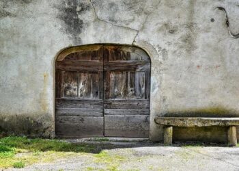 Pierre-Marie Bardou Energizes Avison Young France with Exciting New Role