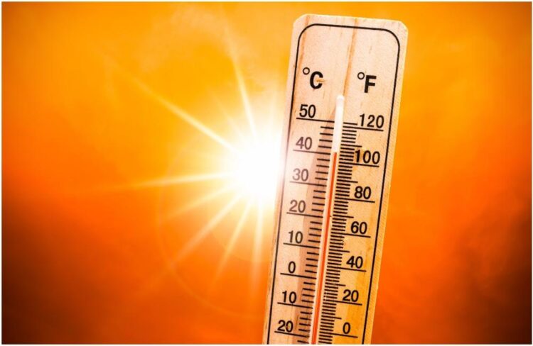 Canicule : la France confrontée à une vague de chaleur intense avec des températures jusqu’à 41°C ce week-end