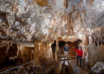La grotte de Foissac : une immersion fascinante au cœur de la science moderne