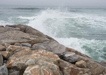 Quelques tensions, mais une expérience globalement positive : le bilan de l’interdiction de fumer sur les plages et dans les parcs à Nice