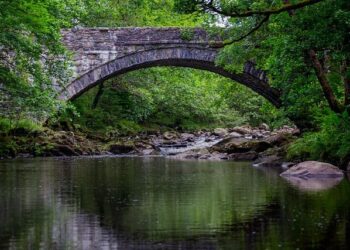 Après des propos antisémites, une étudiante gazaouie quitte la France pour le Qatar  —  Étudiante gazaouie au cœur de la polémique : son départ de France vers le Qatar après des propos controversés