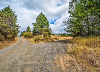 « Je ne sais plus où chercher » : Noëllia, 17 ans, disparue à Bordeaux depuis huit jours, inquiète ses proches