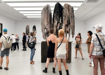 Fan Park de Montpellier : quand le Tour de France réunit passionnés de vélo et curieux inattendus