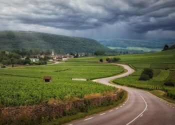 La France confrontée à une canicule exceptionnelle : un épisode qui pourrait durer encore longtemps La France confrontée à une canicule exceptionnelle : un épisode qui pourrait durer encore longtemps