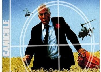 Canicule : Bordeaux explose un record historique avec 41,6 °C ce lundi !