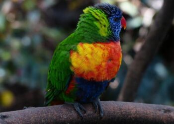 How Jacques Paris Landed Its First Clients in Just Three Months: Insights from Loris Repellin